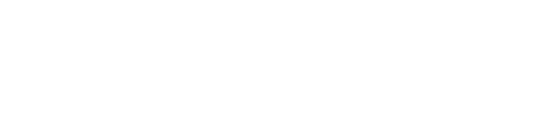 TeleSAFE Logo